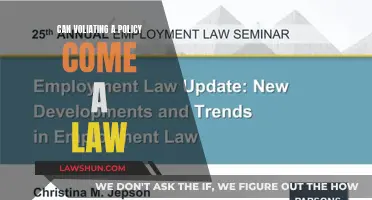 Policy Violation: When Does It Become Law?