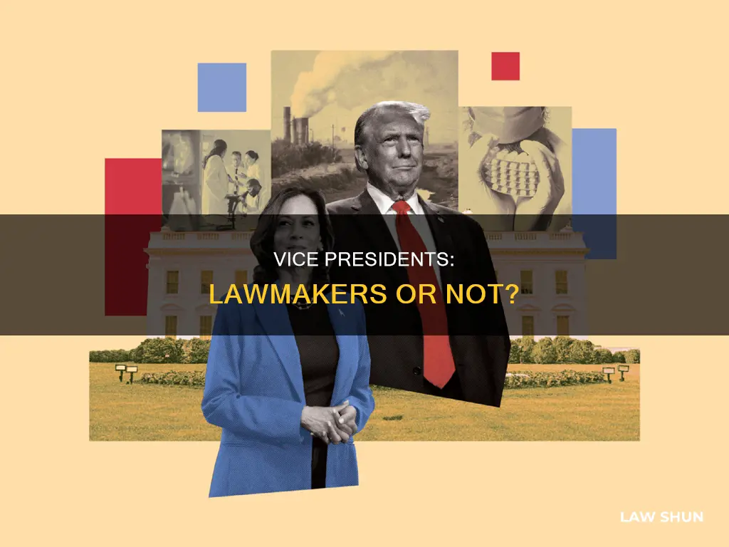 can vp make laws