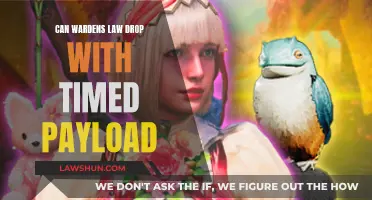 Wardens Law: Timed Payload Drop and Its Implications