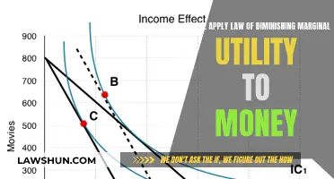 Diminishing Returns: Money and Marginal Utility