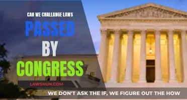 Challenging Congress: Can We Overturn Federal Legislation?
