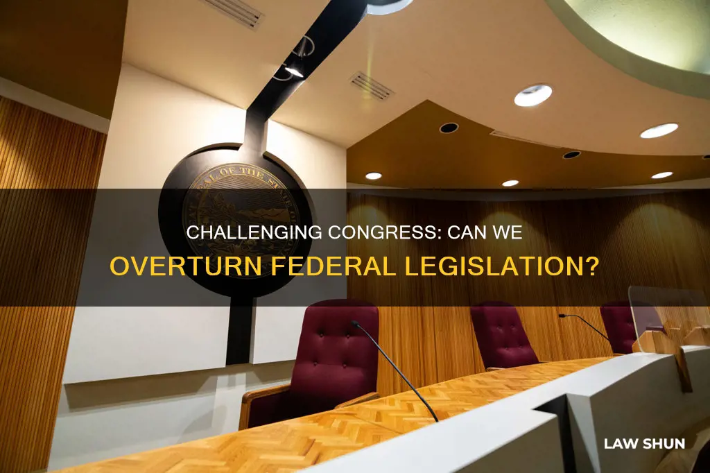 can we challange laws passed by congress