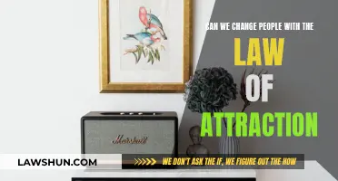 Manifesting Mindsets: Can We Change People with Law of Attraction?