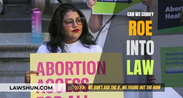 Codifying Roe: Can We Enshrine It in Federal Law?