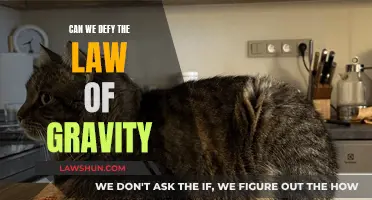 The Law of Gravity: Can Humans Ever Defy It?