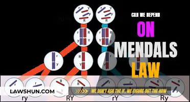 Mendal's Law: Reliable or Misleading?