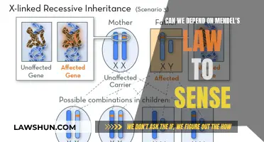 Sensing the World: Mendel's Law in Action