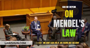 Mendel's Law: Reliable or Not?