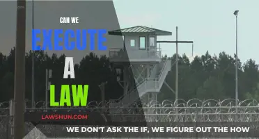 Executing Law: Can We Enact It?