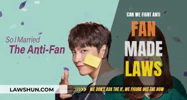 Fighting Anti-Fan Laws: A Battle for Creative Freedom