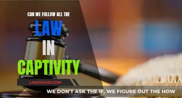Captivity Conundrum: Following All Laws Imprisoning Free Will?