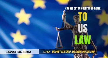 A United Front: EU & US Laws Agreed?
