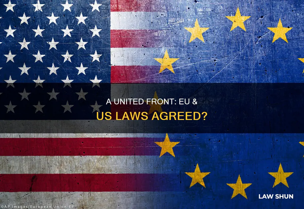 can we get eu country to agree to us law