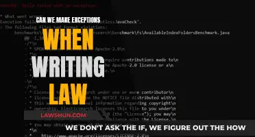 Writing Laws: Flexibility or Exceptions?