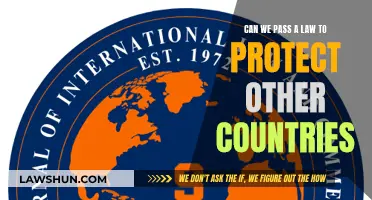 Protecting Foreign Nations: Can Laws Provide a Solution?