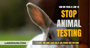 Ban Animal Testing: A Lawful Approach to Animal Welfare