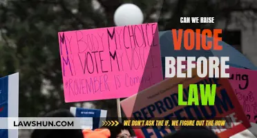 Asserting Your Rights: Raising Your Voice Before the Law