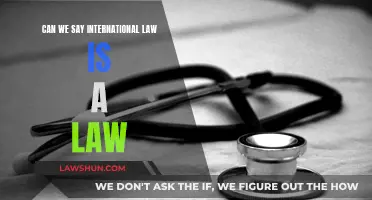 International Law: Law or Not?