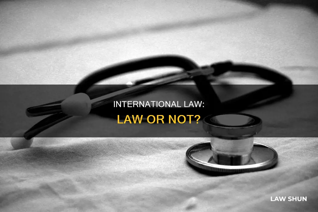 can we say international law is a law