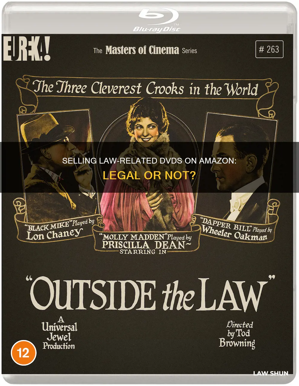 can we sell law related dvds on amazon