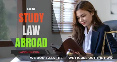 Studying Law Abroad: Is It Possible?
