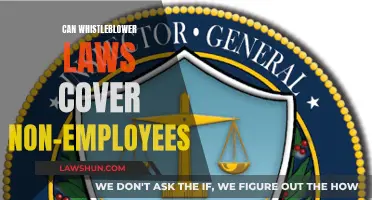 Whistleblower Laws: Protection for Non-Employees?