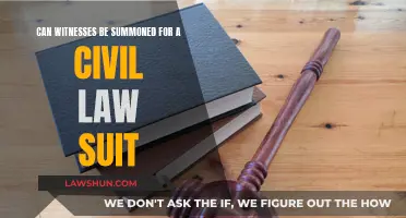 Witness Summons: Civil Lawsuits and Your Rights
