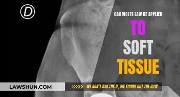 Wolf's Law: Soft Tissue Applications and Implications
