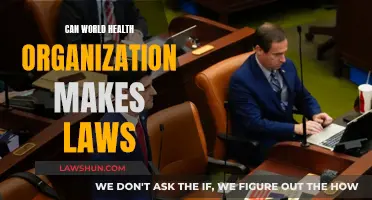 WHO's Role: Lawmaking Power or Advisory?