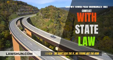 State Law vs. Local Ordinances: Who Wins?