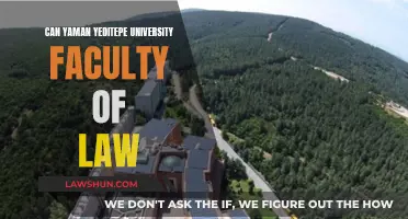 Yeditepe University's Can Yaman: Law Faculty Insights