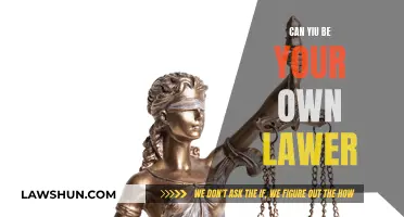 Representing Yourself: Should You Be Your Own Lawyer?