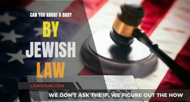 The Jewish Law Perspective on Abortion
