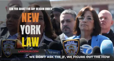 New York Abortion Law: What Reasons Are Legally Valid?