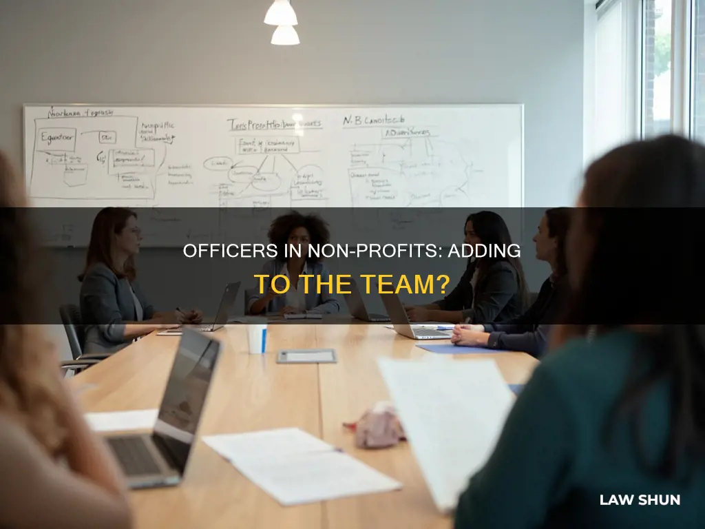 can you add other officers to non profot by laws