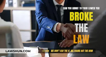 Lawyer-Client Confidentiality: Admitting Lawbreaking to Your Lawyer