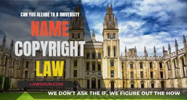 University Name Allusions: Copyright Law Explained