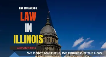 Amending Illinois Laws: What's the Process Like?