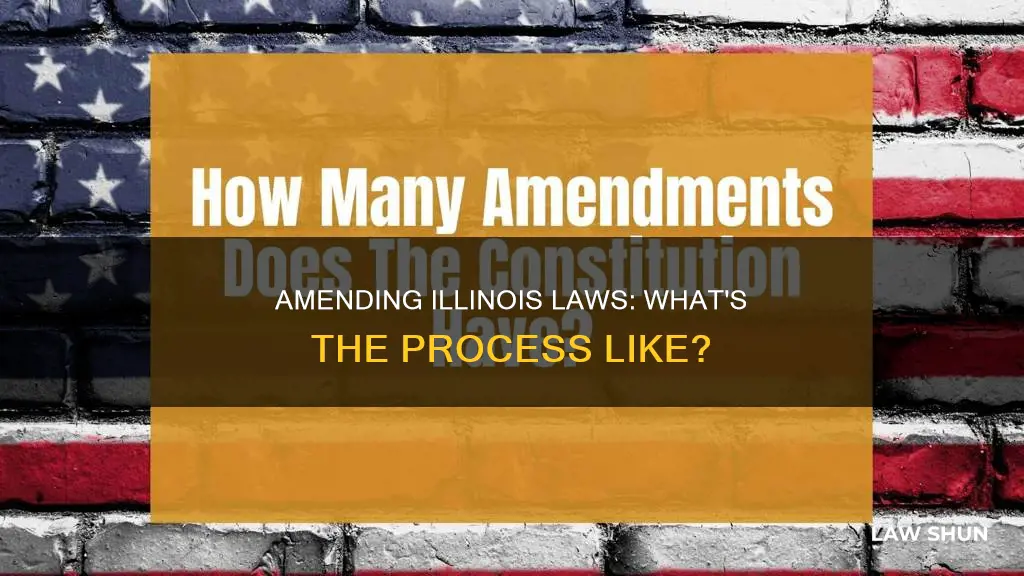 can you amend a law in illinois