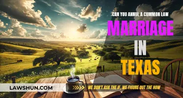 Annulment Options for Common-Law Marriages in Texas