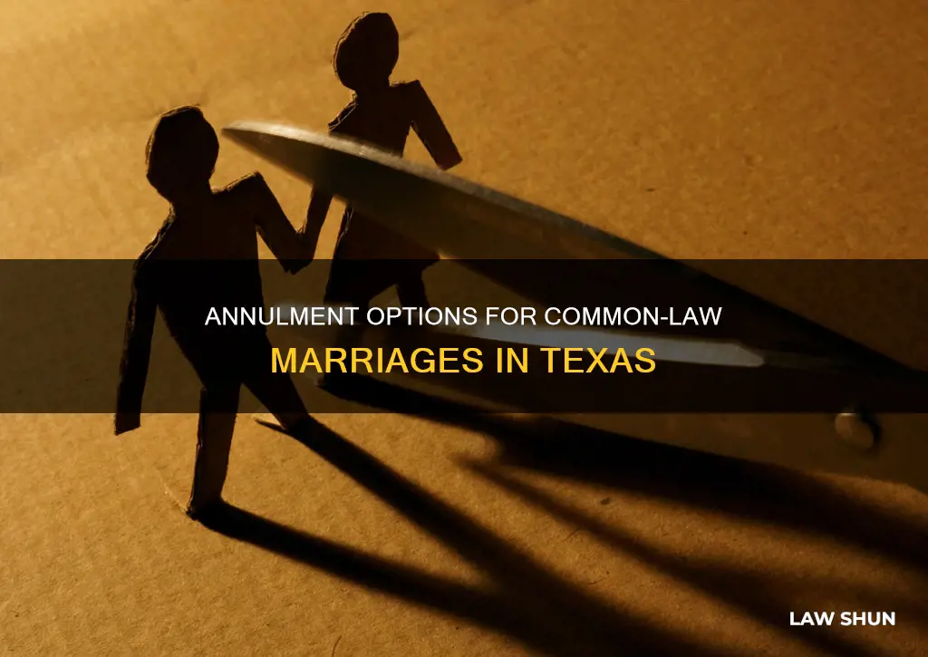 can you annul a common law marriage in texas