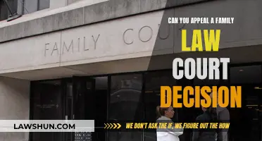 Appealing Family Law Court Rulings: Your Rights Explained