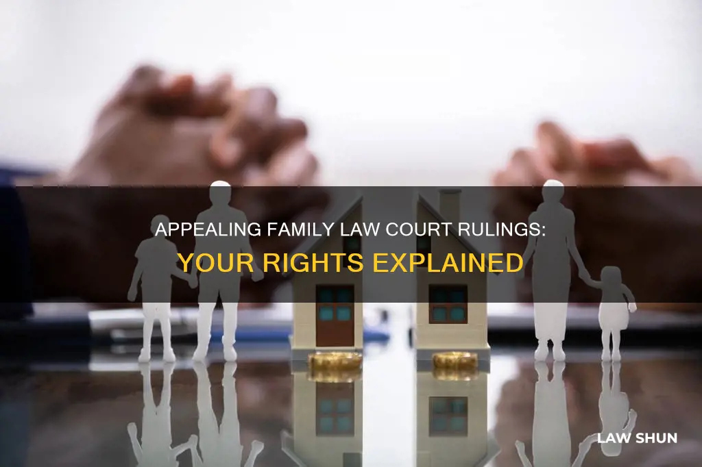 can you appeal a family law court decision