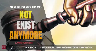 Challenging Laws: Appealing Obsolete Statutes