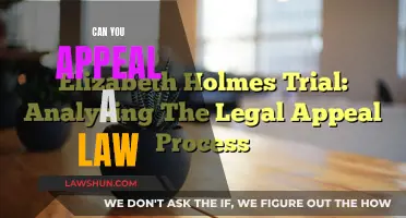 Appealing Laws: Your Rights and Options Explored