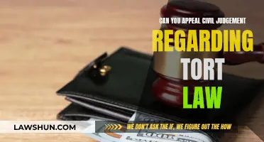 Appealing Civil Judgments: Exploring Your Legal Options