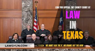 Appealing County Court Rulings in Texas: Your Options Explained