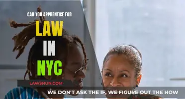 Law Apprenticeship in NYC: Is It Possible?