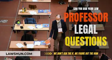 Asking Law Professors: Legal Advice or Academic Insight?