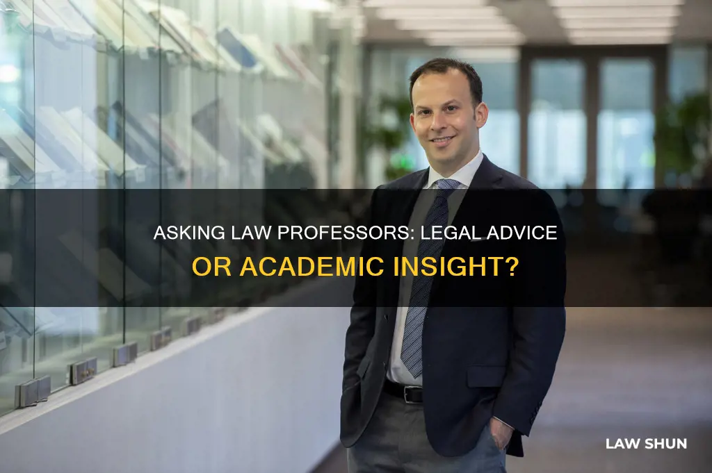 can you ask your law professor legal questions